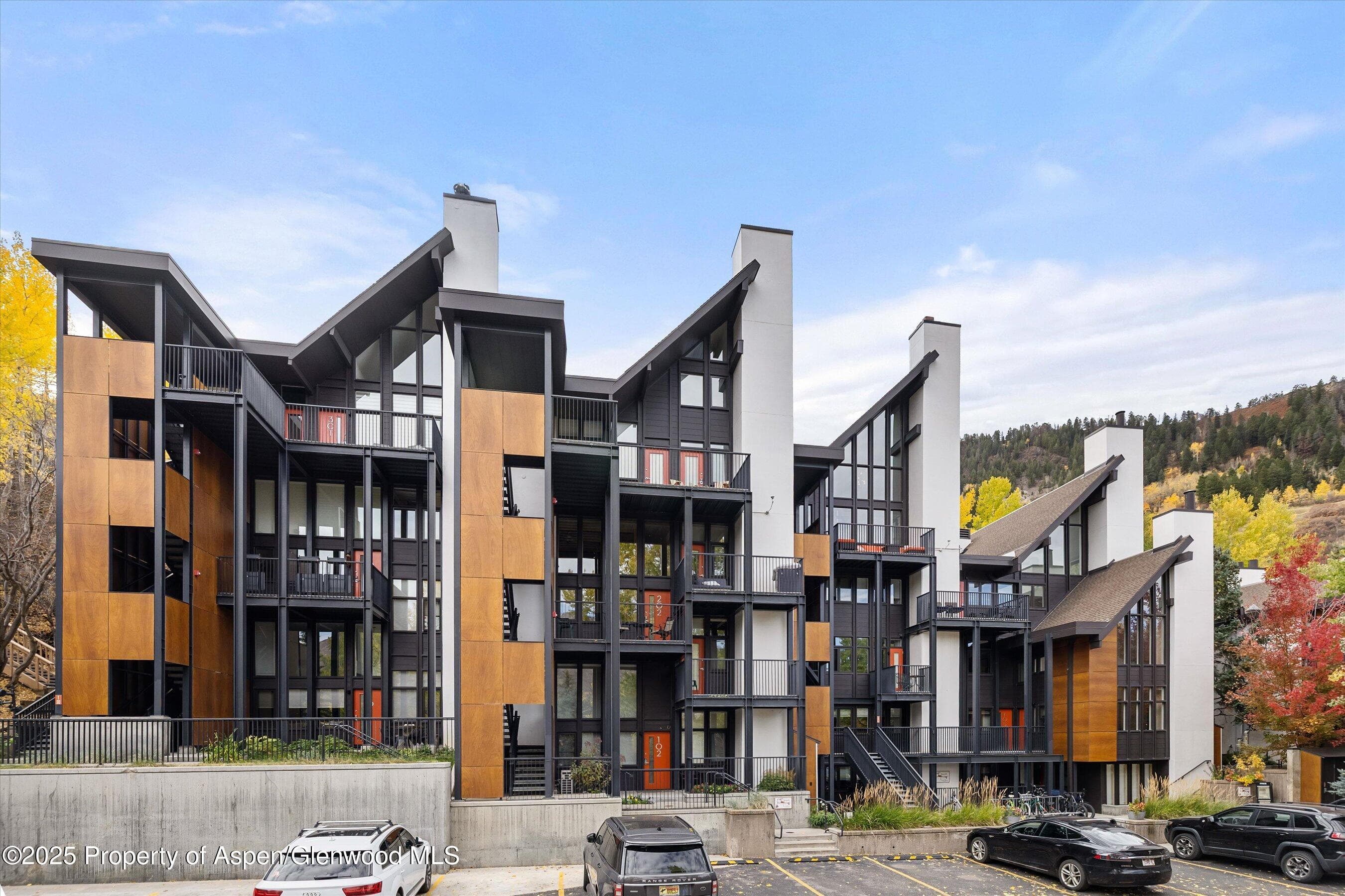 800 S Mill Street 303C, Aspen, CO 81611 - Photo 1