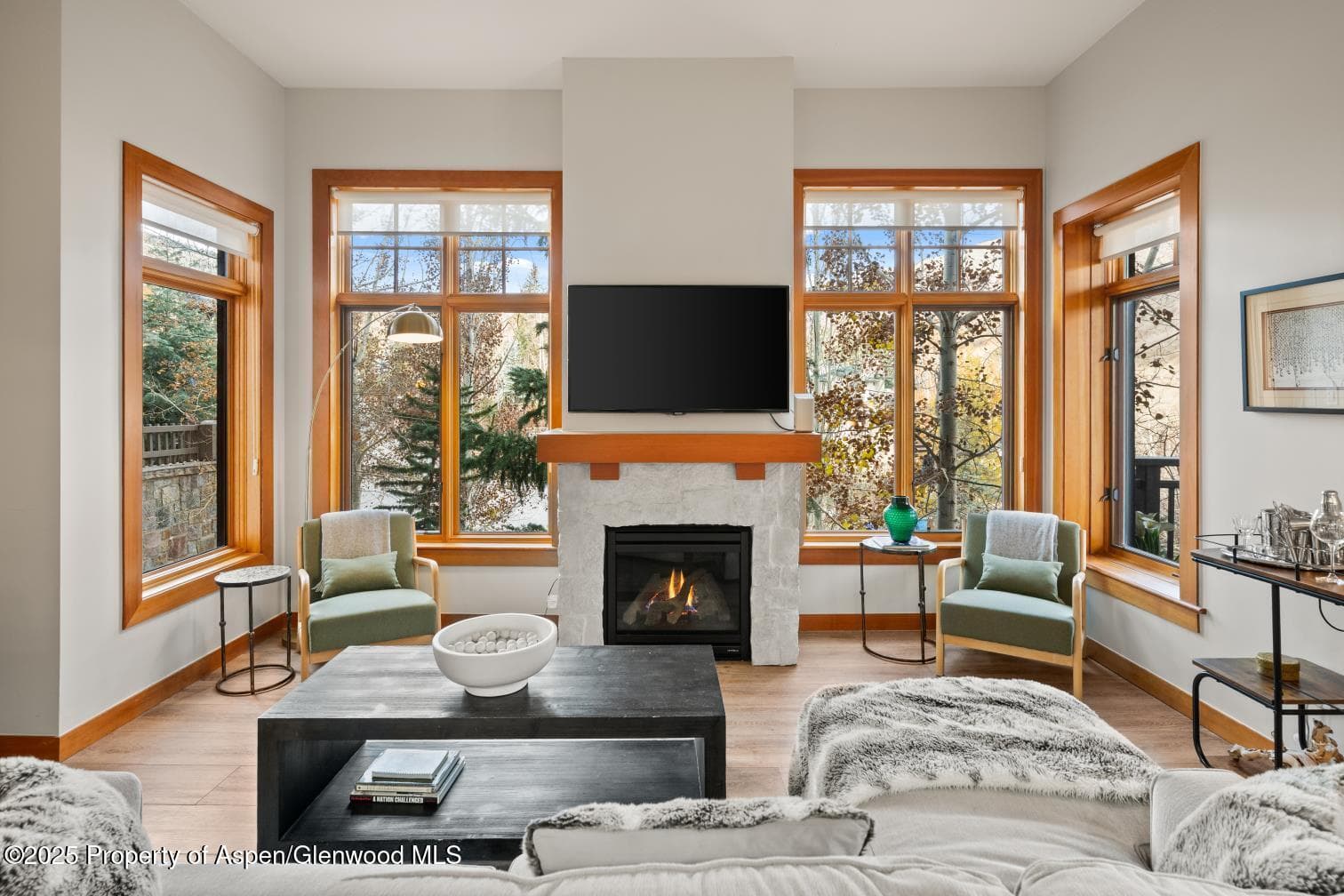 60 carriage 3029, Snowmass Village, CO 81615 - Photo 1