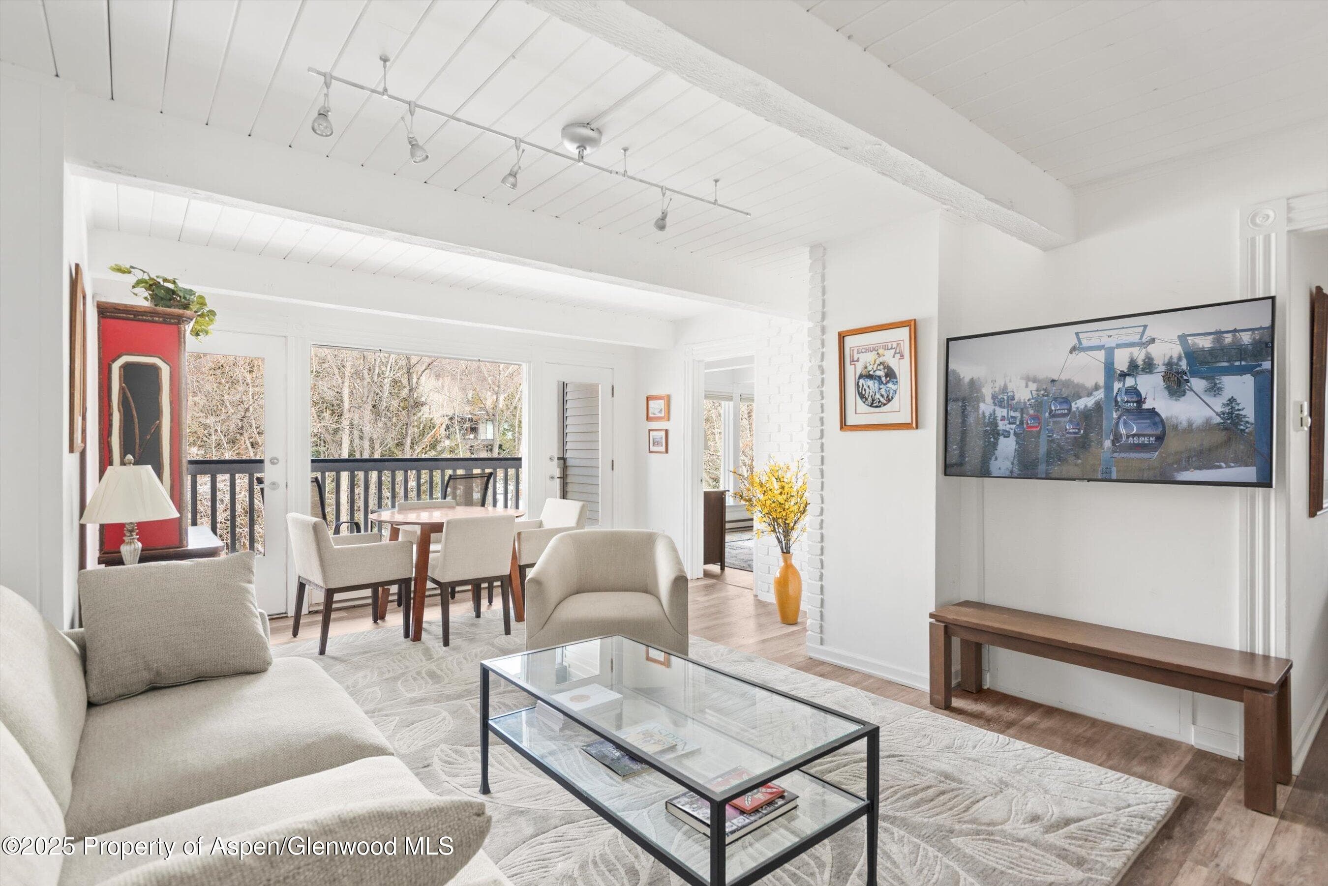 916 E Hopkins Avenue 204, Aspen, CO 81611 - Photo 1