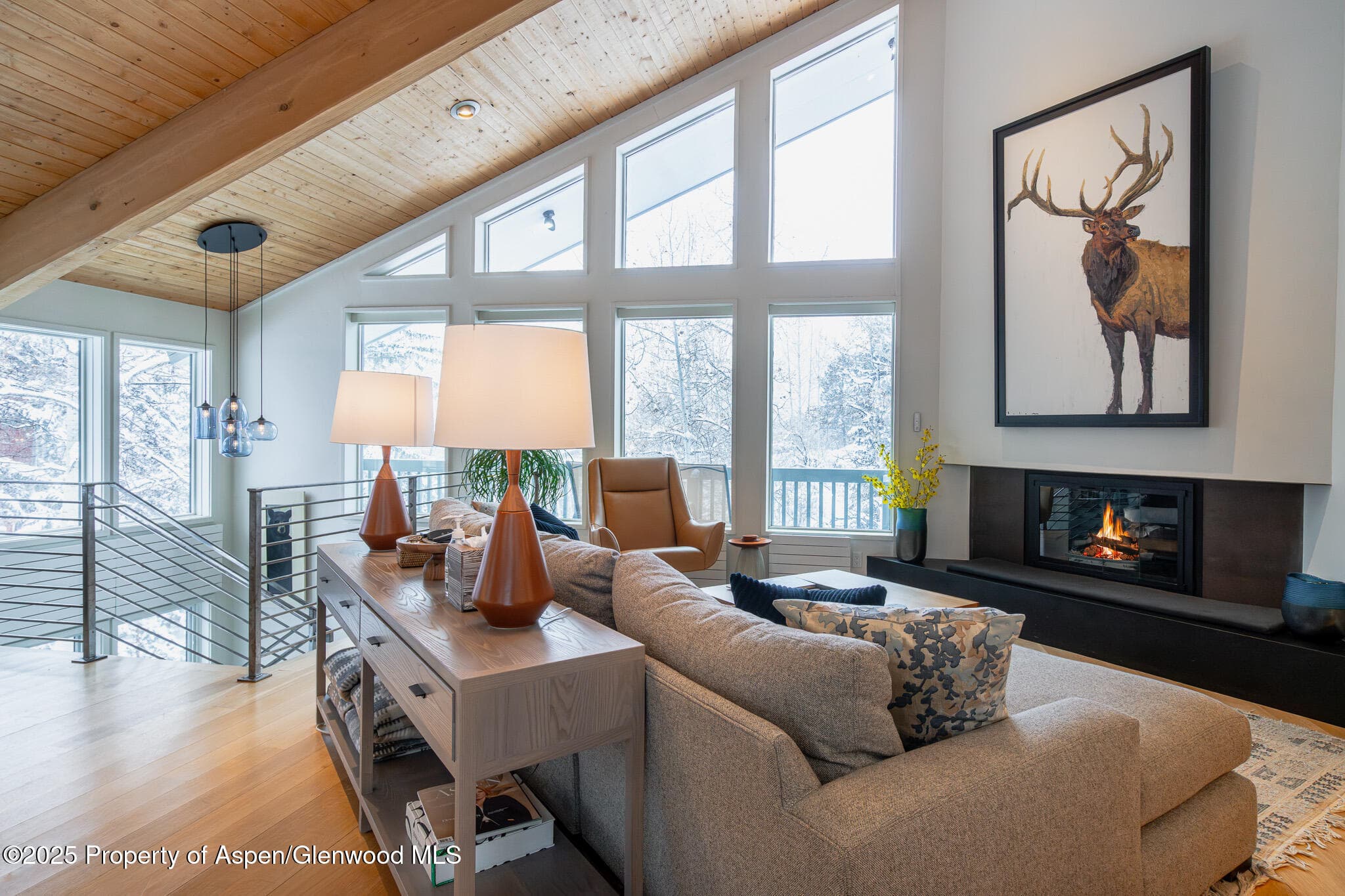 100 Mountain Laurel Court, Aspen, CO 81611 - Photo 1
