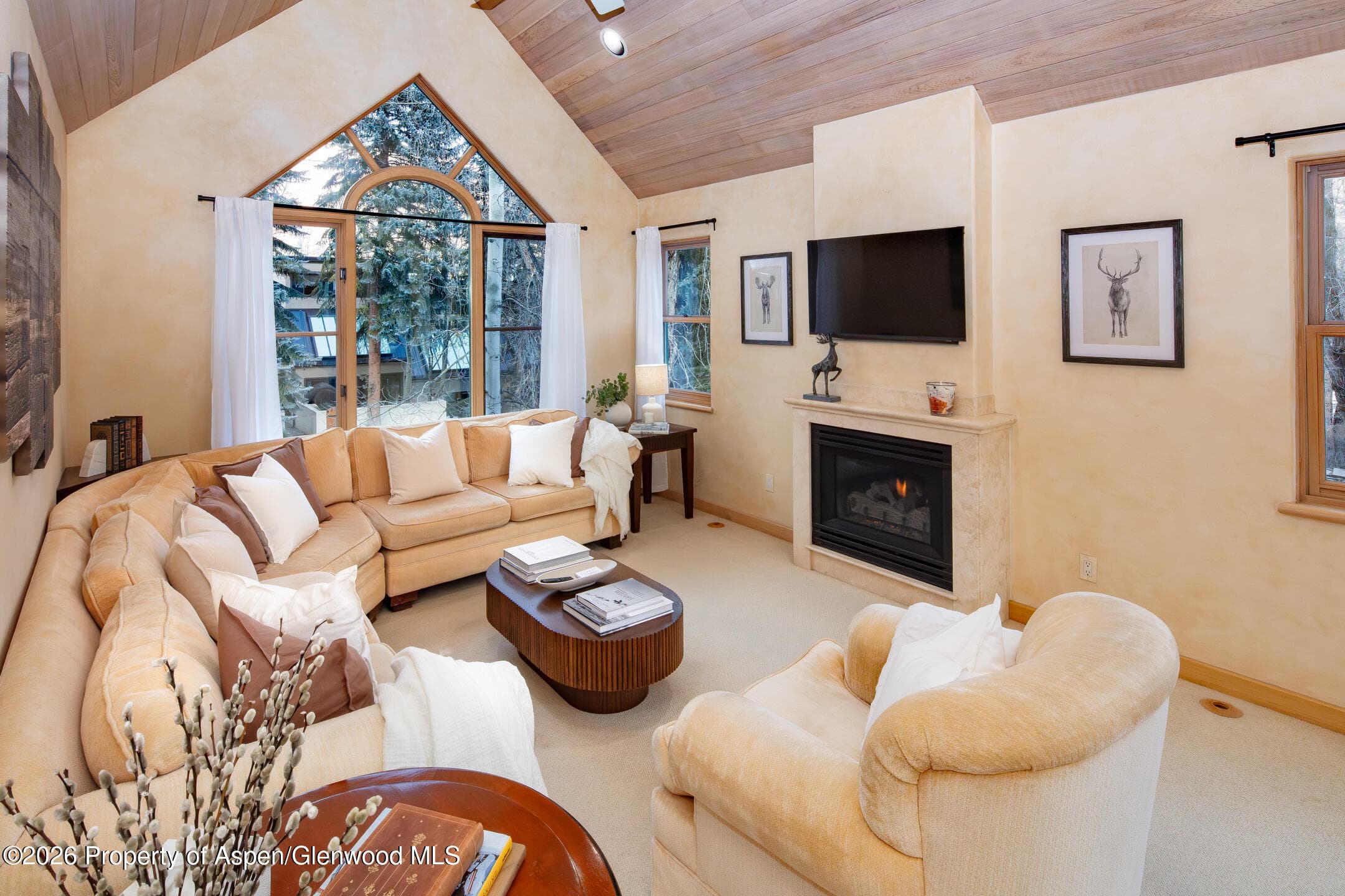 333 W Hopkins Avenue, Aspen, CO 81611 - Photo 1