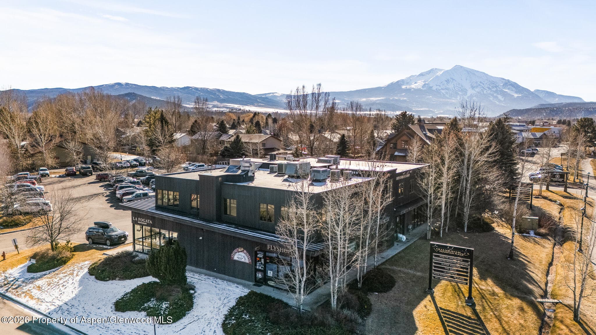 995 Cowen Drive 101, Carbondale, CO 81623 - Photo 1