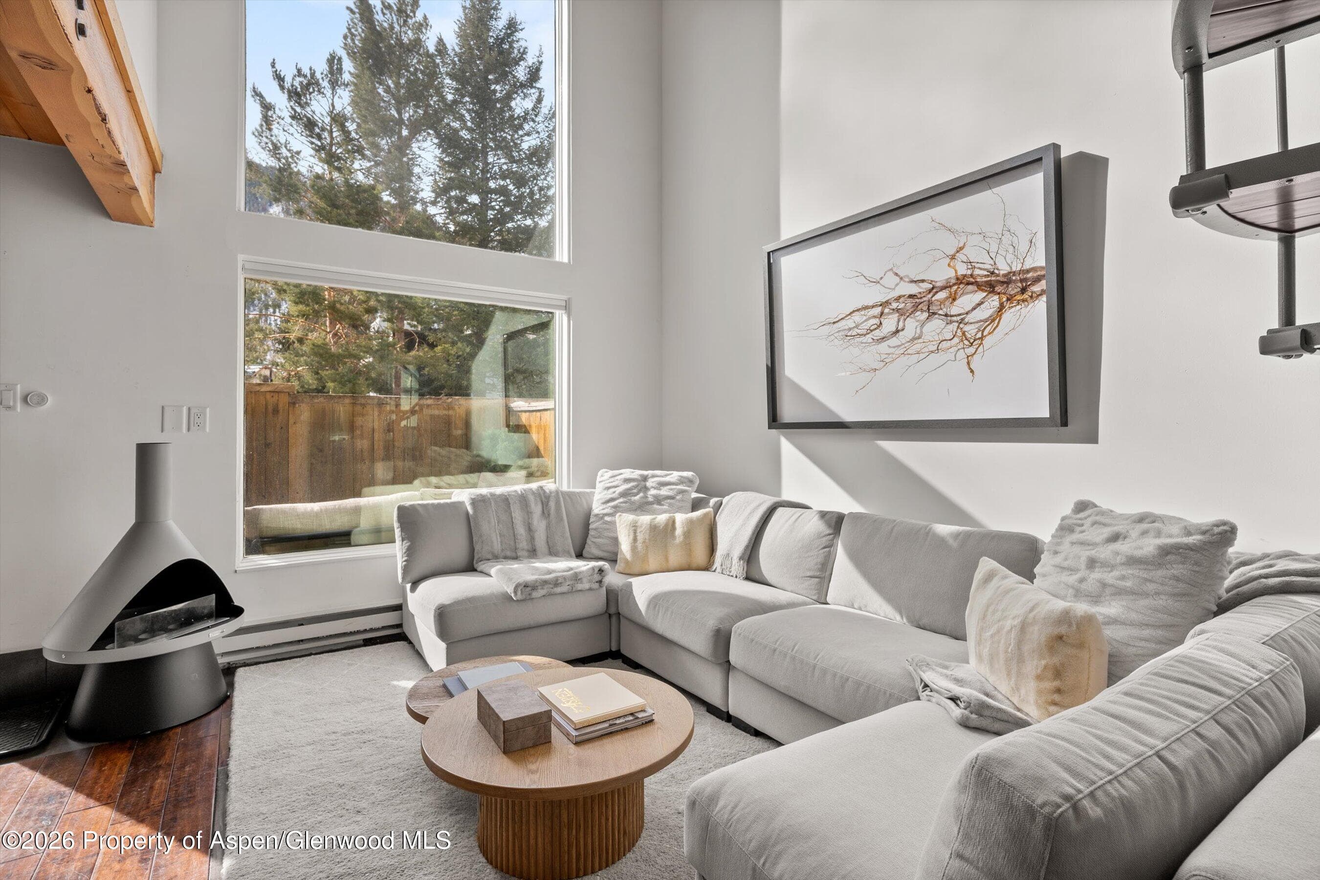 1024 E Cooper Avenue 3a, Aspen, CO 81611 - Photo 1