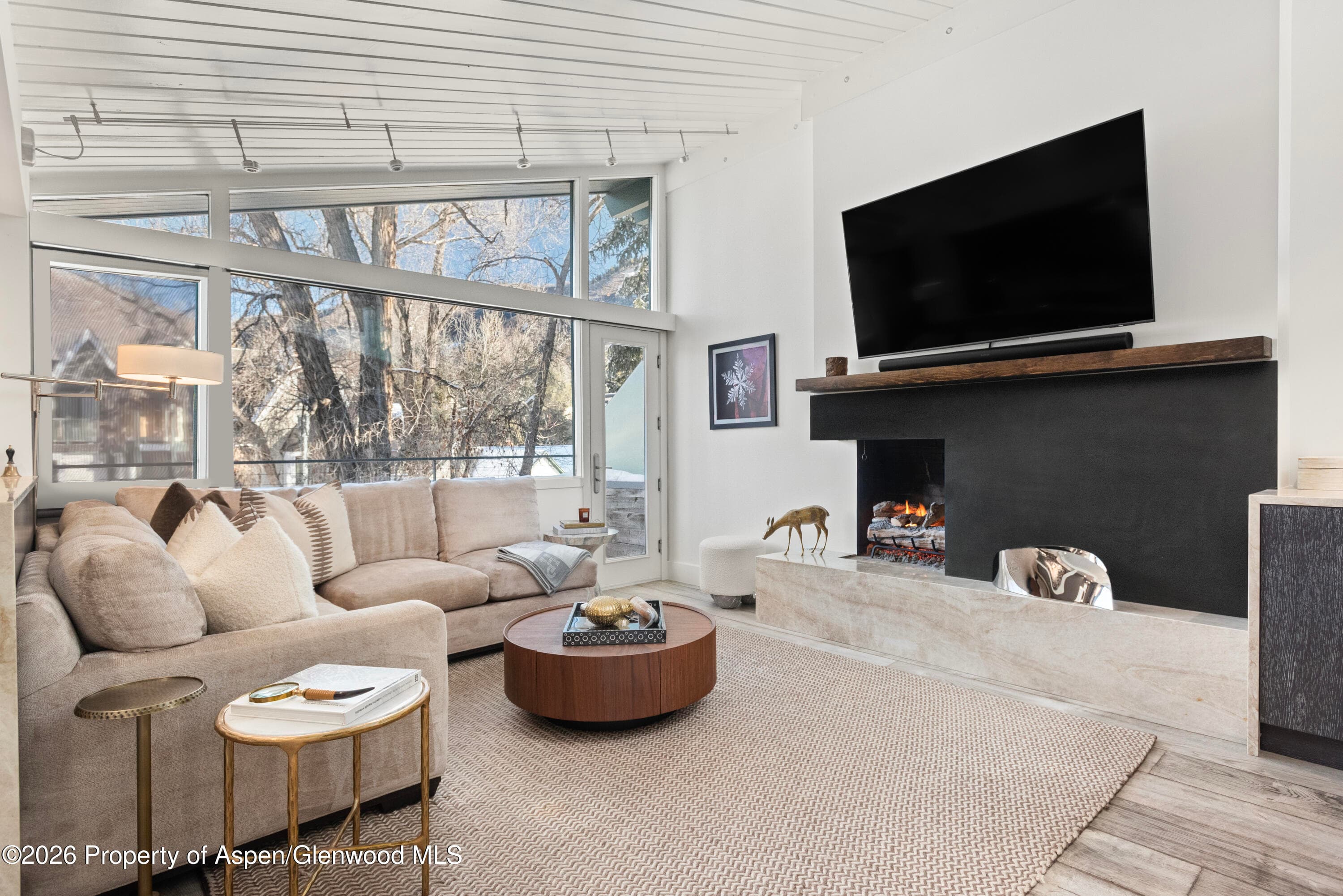 1001 E Cooper Avenue 2, Aspen, CO 81611 - Photo 1