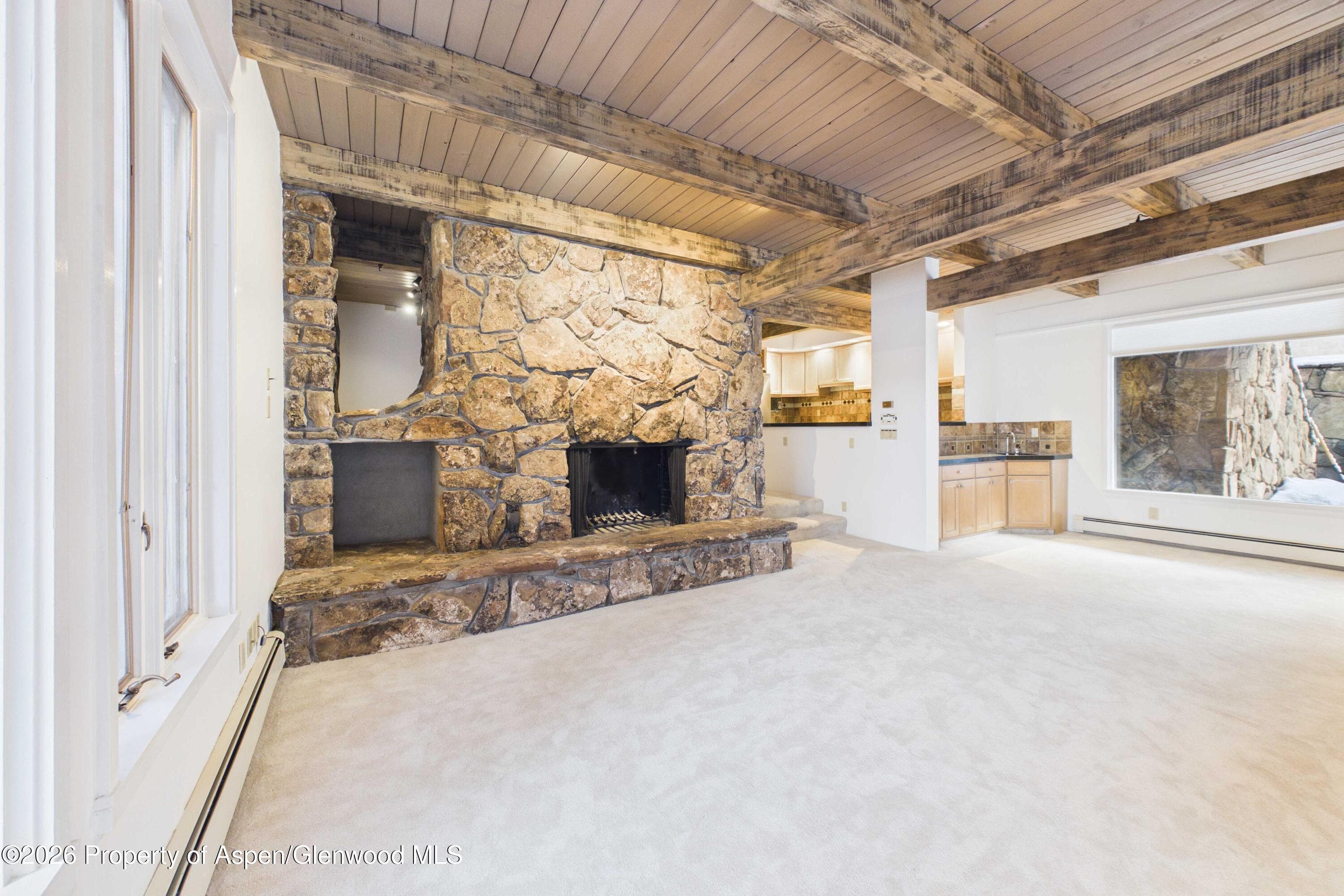 651 S Monarch Street 104, Aspen, CO 81611 - Photo 1
