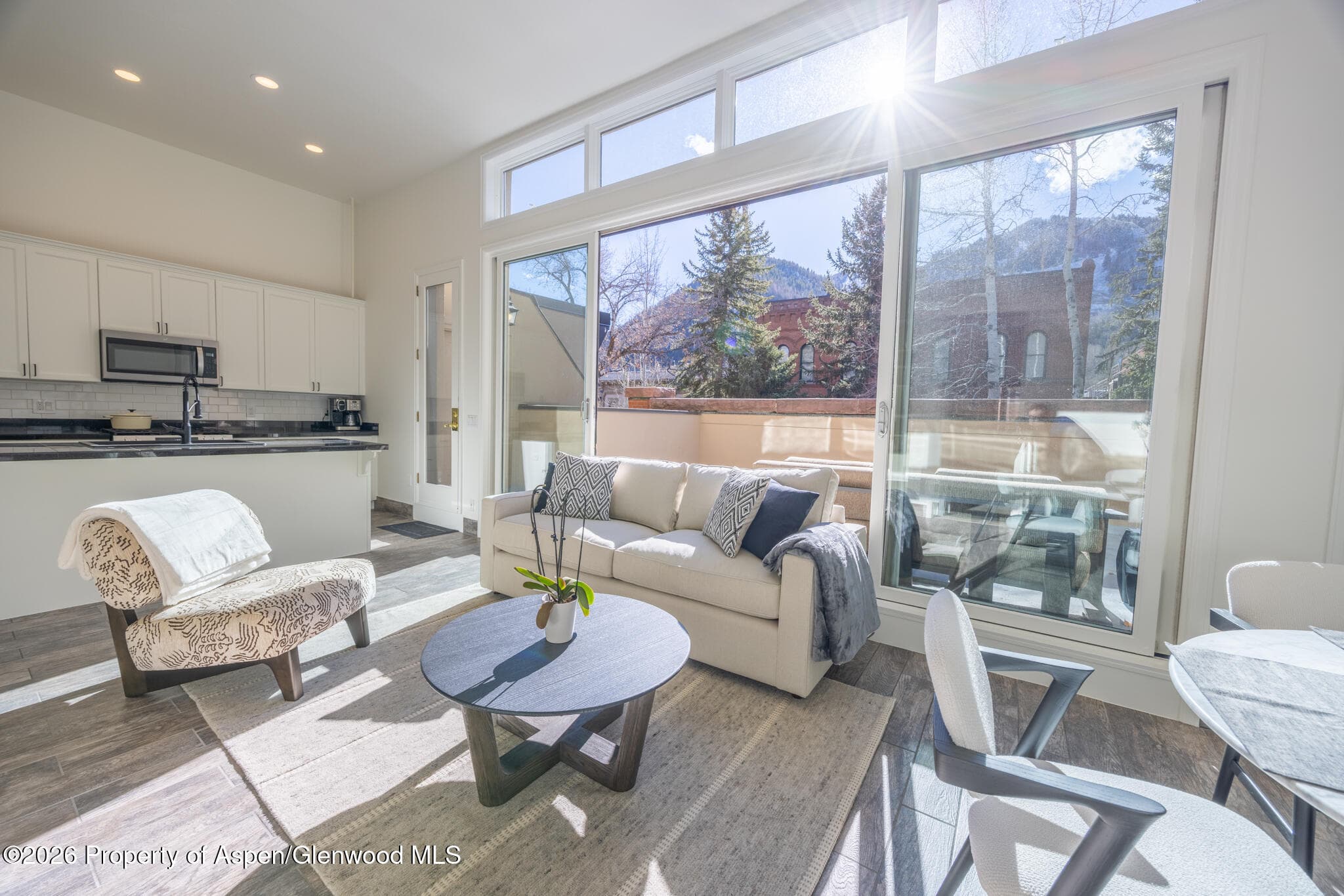 426 E Hyman, Aspen, CO 81611 - Photo 1
