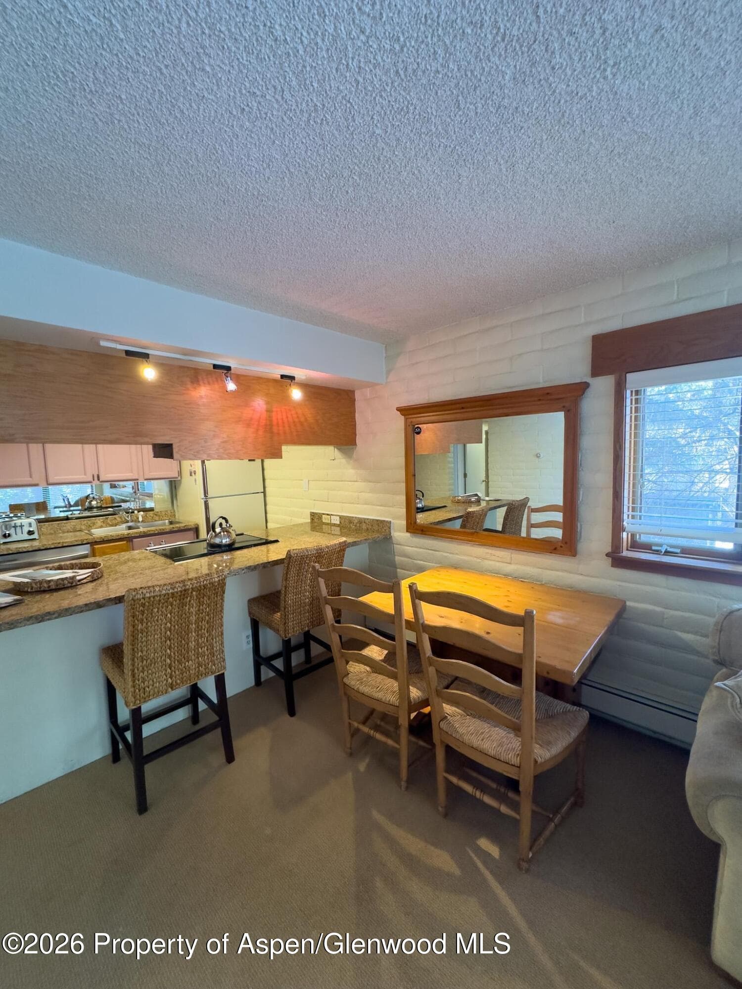 212 Vine Street 212, Aspen, CO 81611 - Photo 1