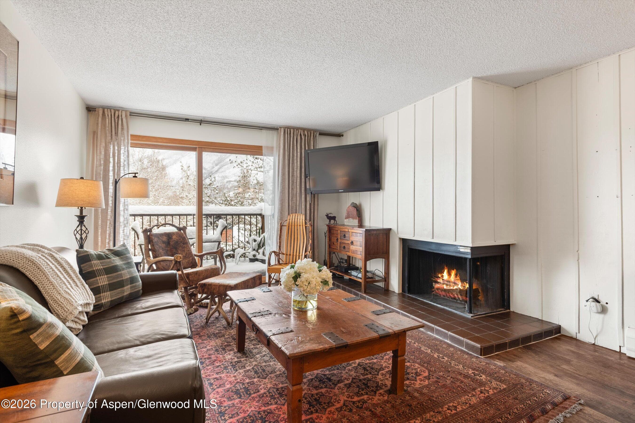 205 E Durant Avenue 3 G, Aspen, CO 81611 - Photo 1