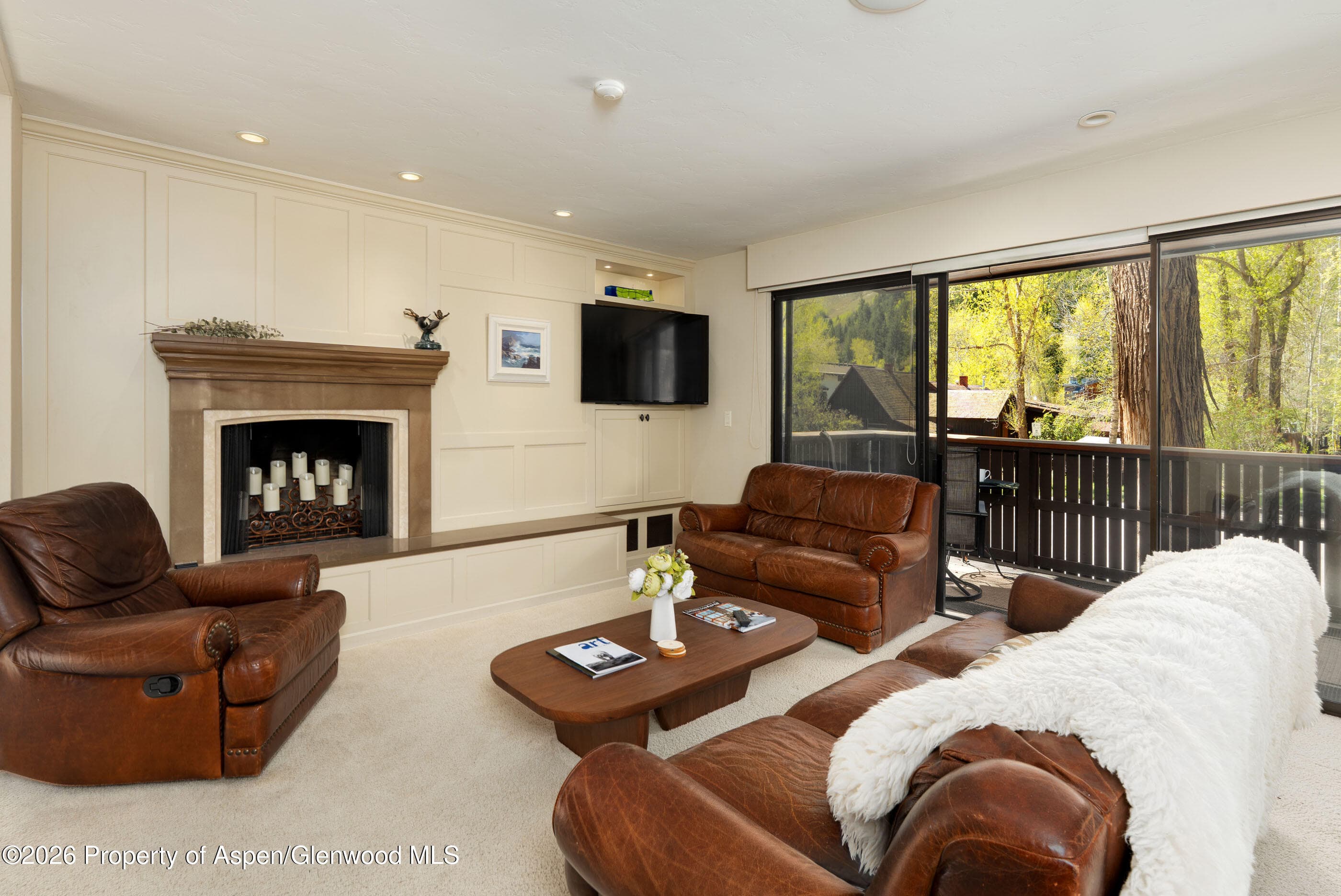 400 W Hopkins Avenue 5, Aspen, CO 81611 - Photo 1