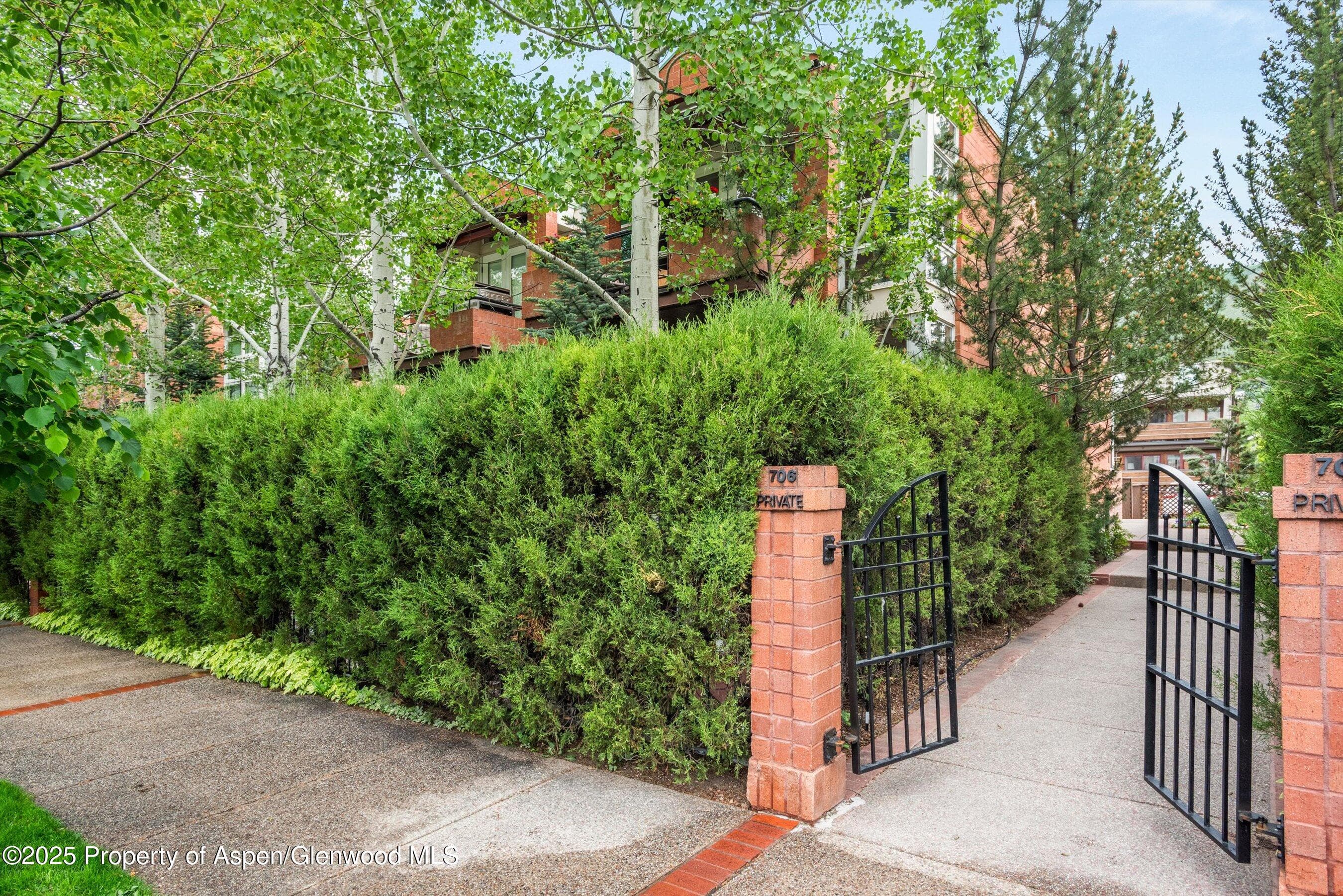 706 E Hyman Avenue, Aspen, CO 81611 - Photo 1