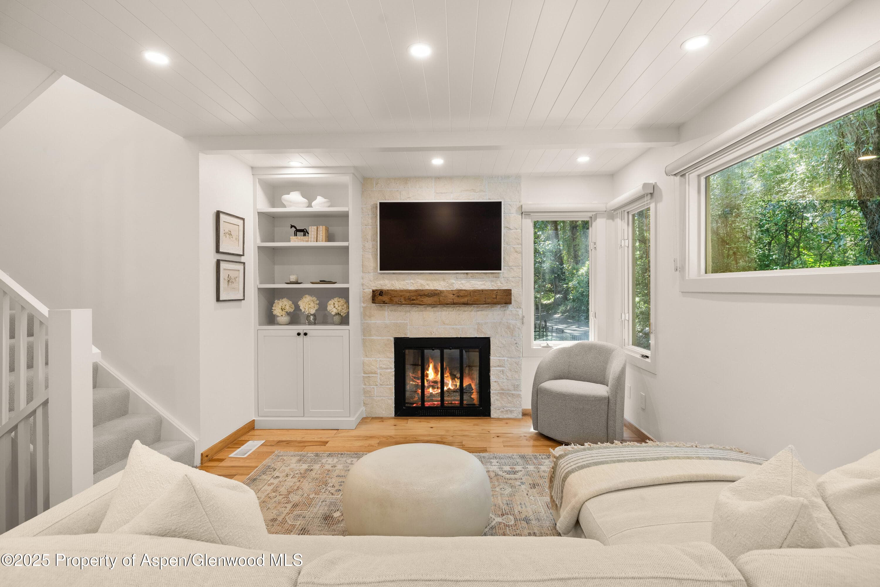 814 W Bleeker Street B2, Aspen, CO 81611 - Photo 1