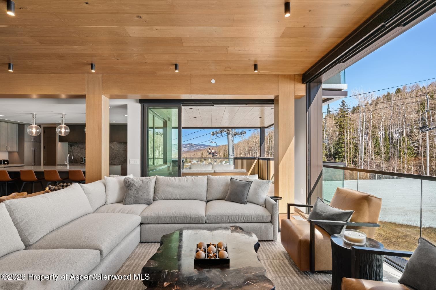 180 Wood Road 402, Snowmass Village, CO 81615 - Photo 1
