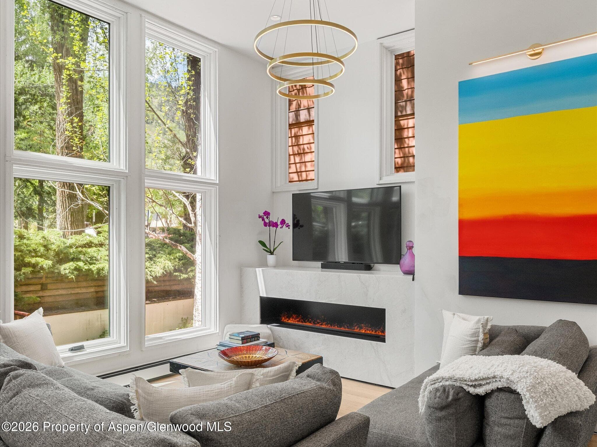 900 E Durant Avenue # 107, Aspen, CO 81611 - Photo 1