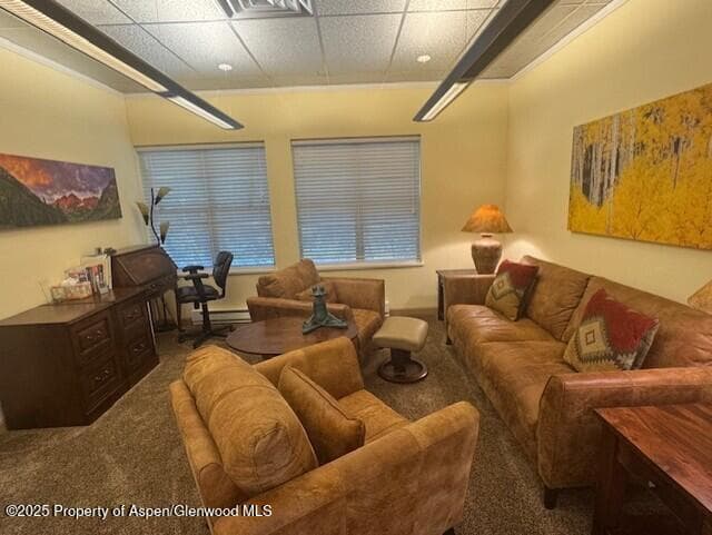 23286 Two Rivers Road, Basalt, CO 81621 - Photo 1
