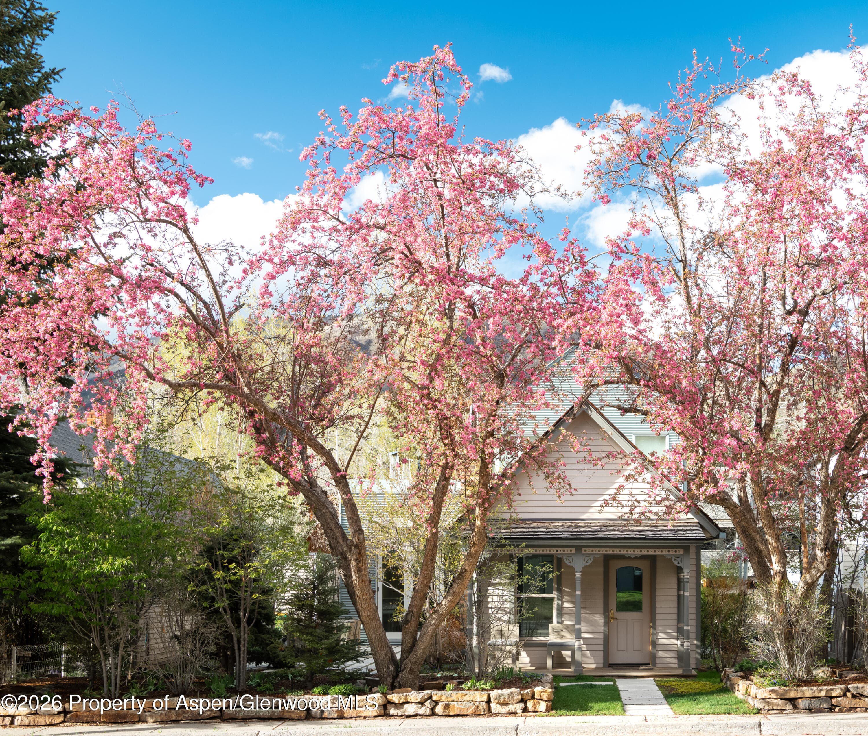 1006 E Cooper Avenue, Aspen, CO 81611 - Photo 1