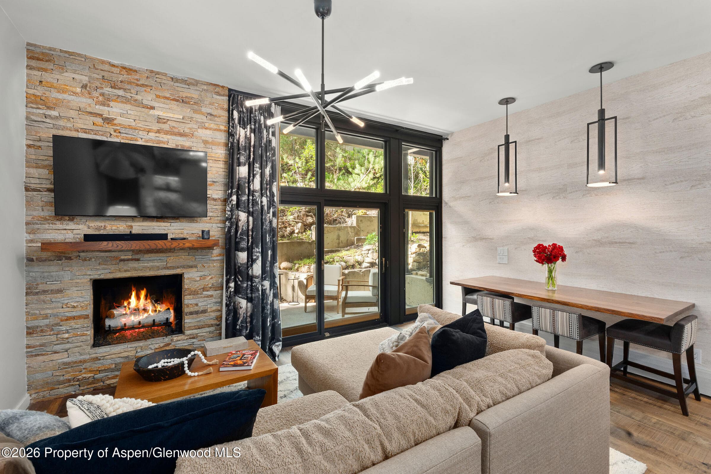 800 S Mill Street 105, Aspen, CO 81611 - Photo 1