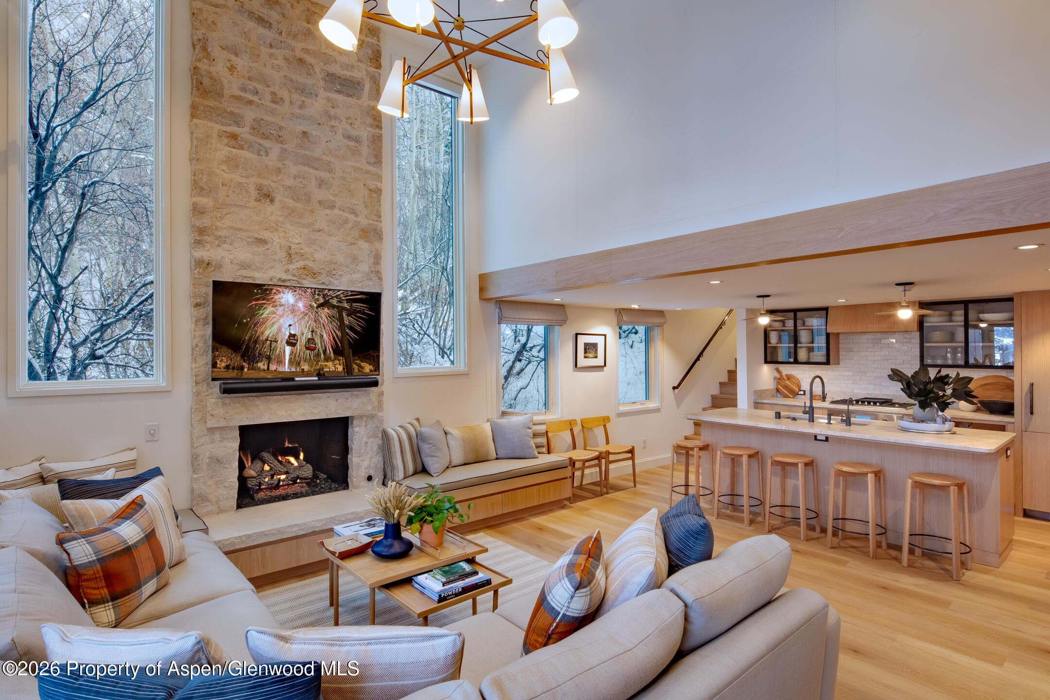 800 S Mill Street 201, Aspen, CO 81611 - Photo 1