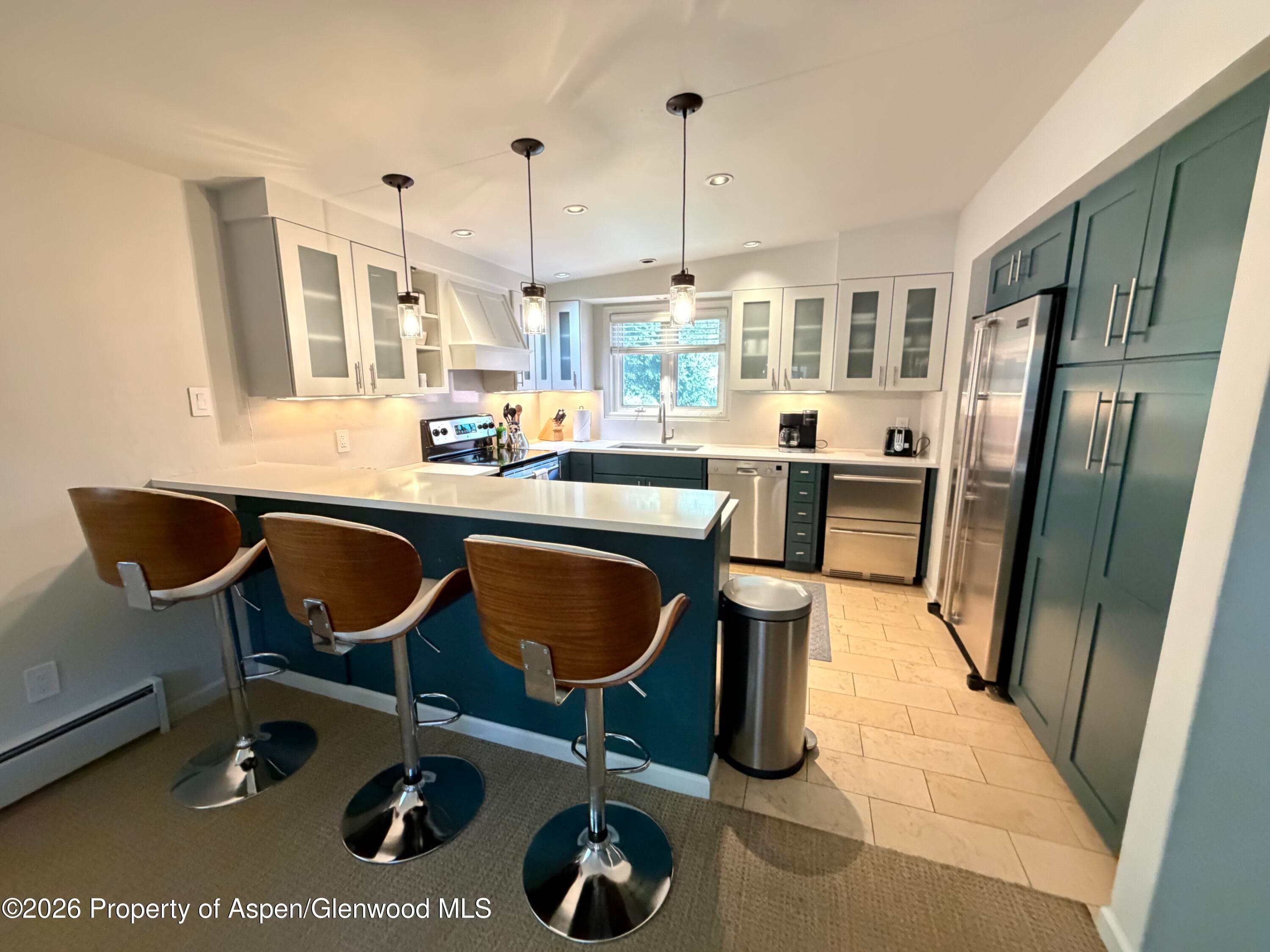 805 E Cooper Avenue 12, Aspen, CO 81611 - Photo 1