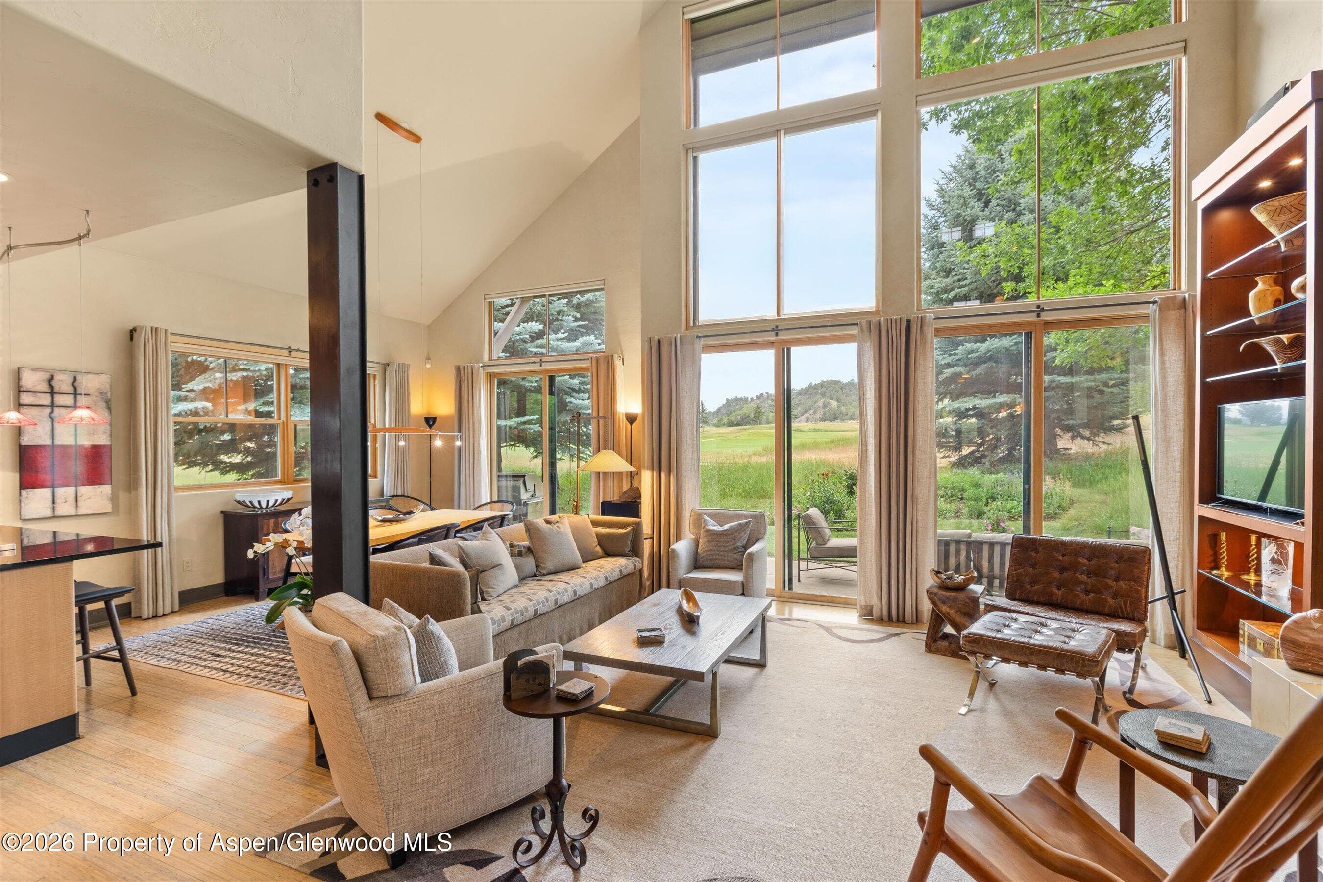 31 Primrose Road, Carbondale, CO 81623 - Photo 1