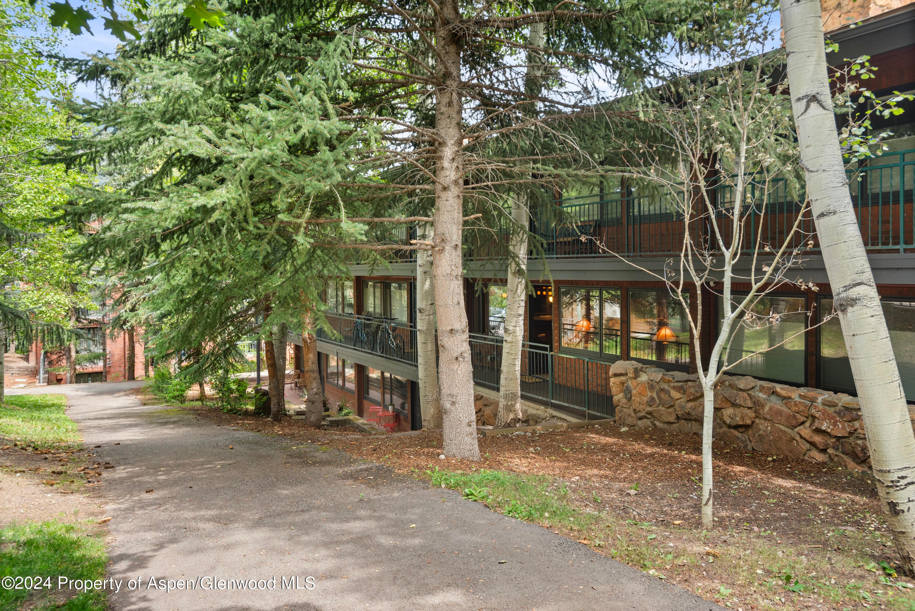 731 S Mill Street 2c, Aspen, CO 81611 - Photo 1