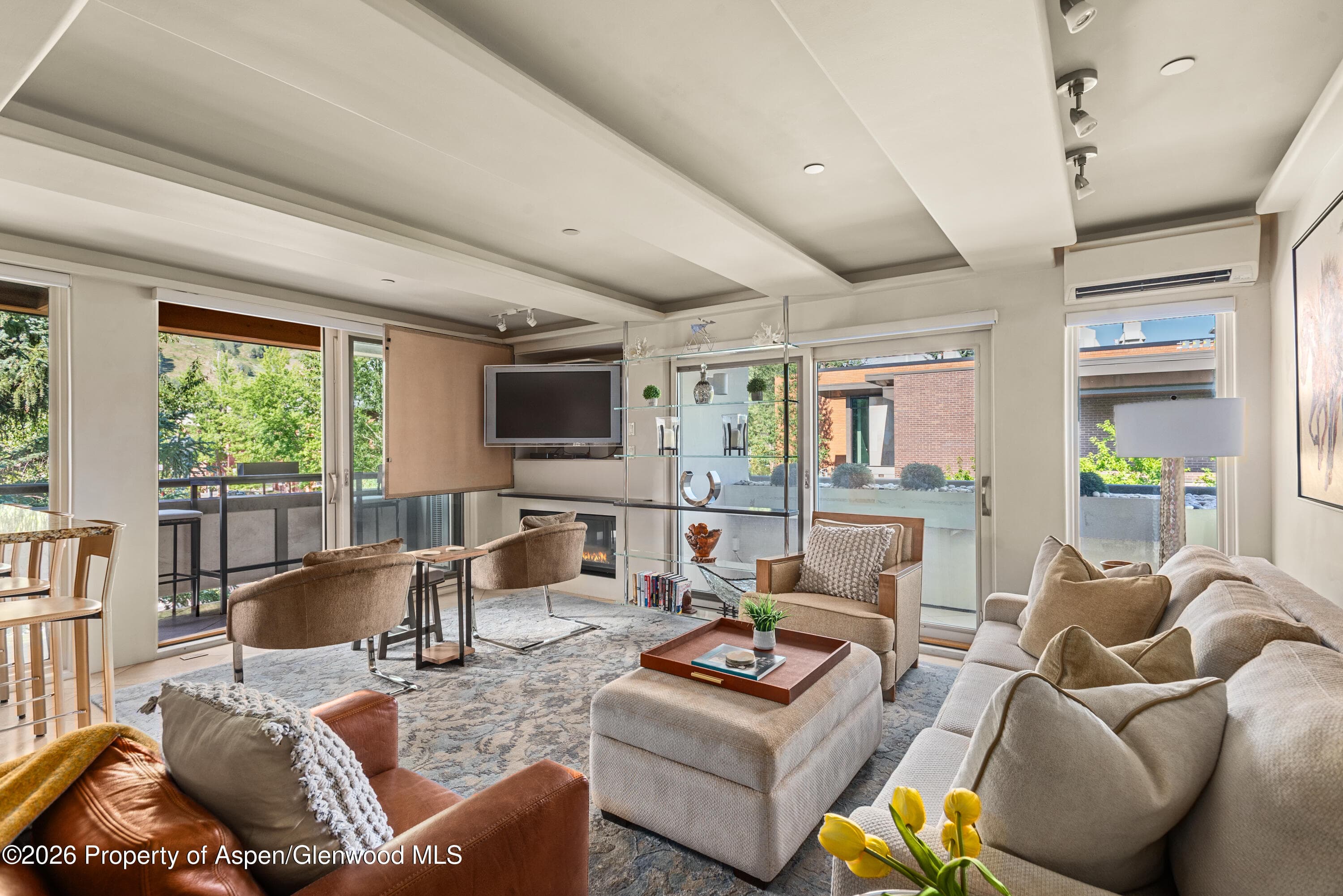 600 E Main Street 301, Aspen, CO 81611 - Photo 1