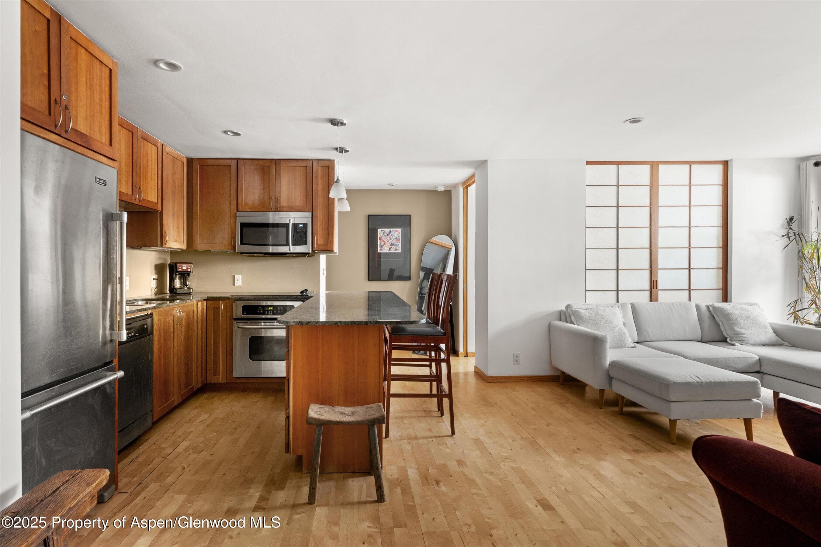935 E Hopkins Avenue 7, Aspen, CO 81611 - Photo 1