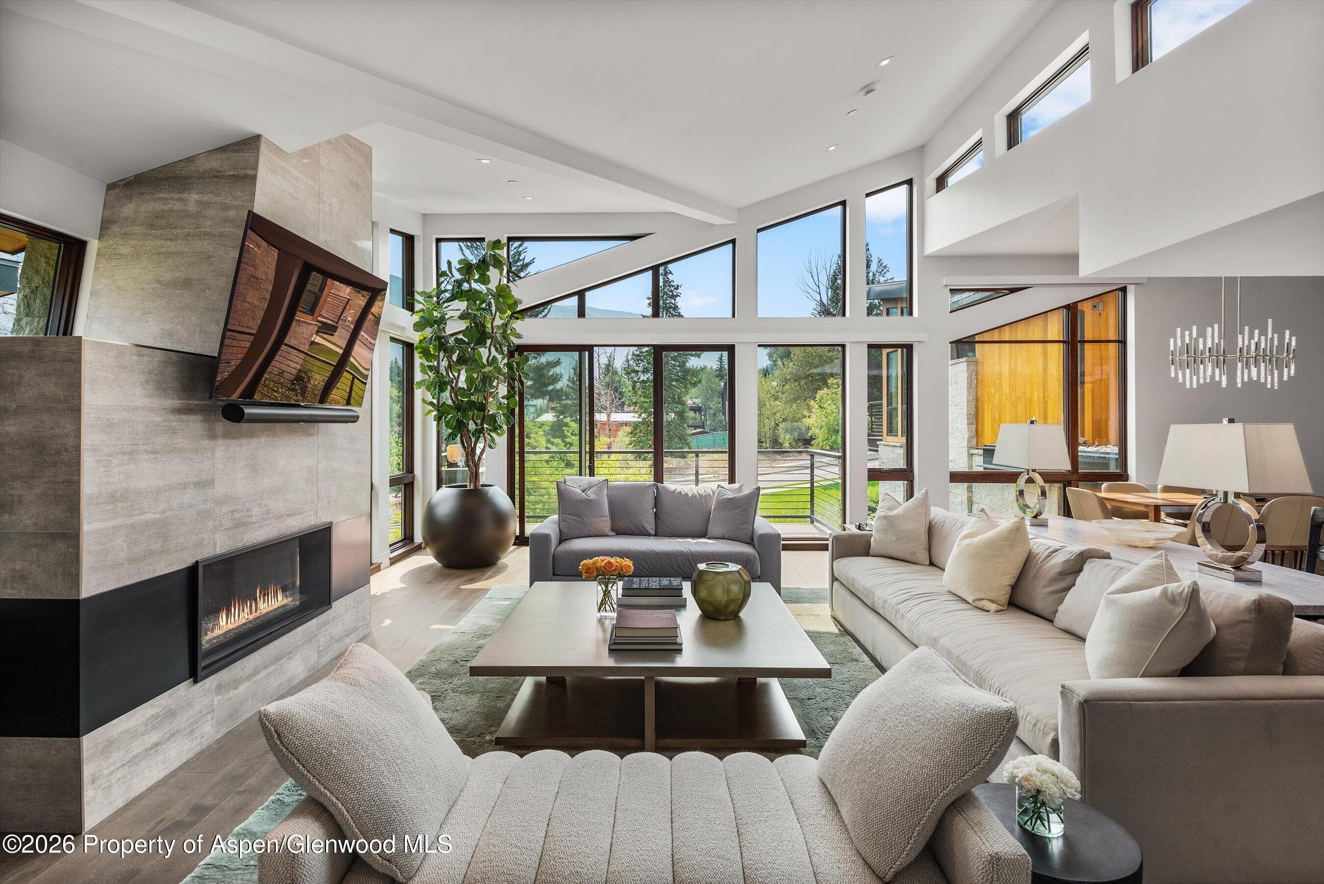 755 S Aspen Street A, Aspen, CO 81611 - Photo 1