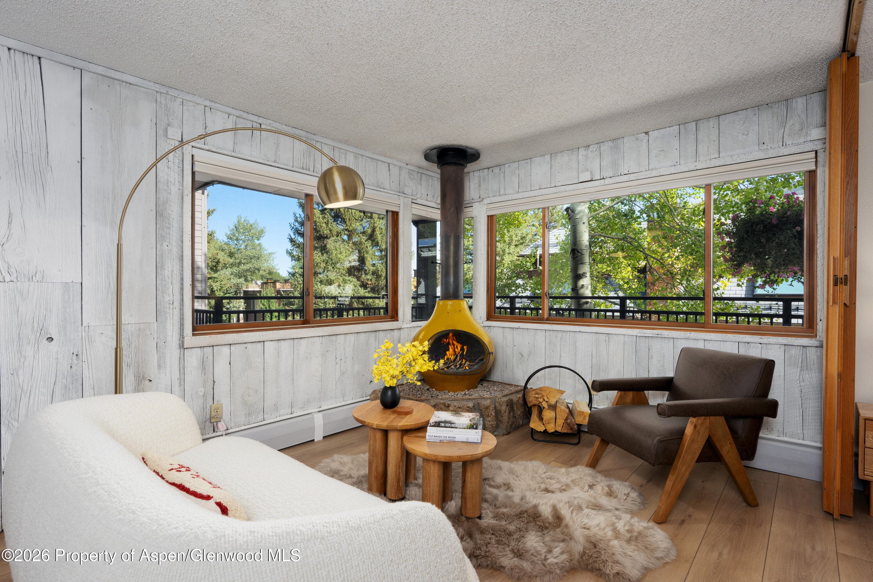 700 S Monarch Street 207, Aspen, CO 81611 - Photo 1