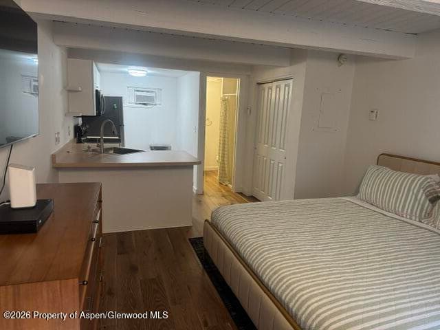 914 Waters Avenue Unit 8, Aspen, CO 81611 - Photo 1