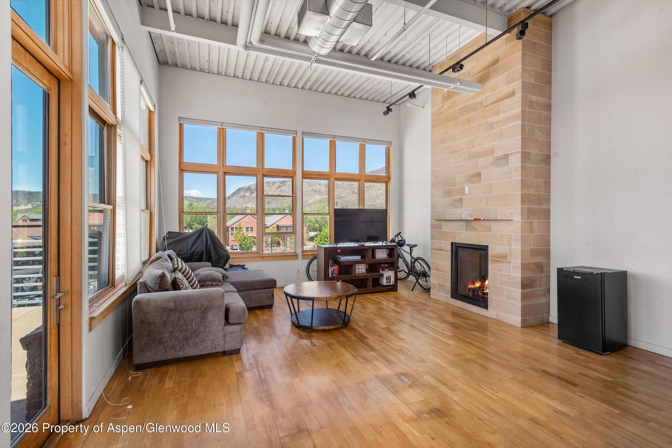 231 Robinson Street R-312, Basalt, CO 81621 - Photo 1