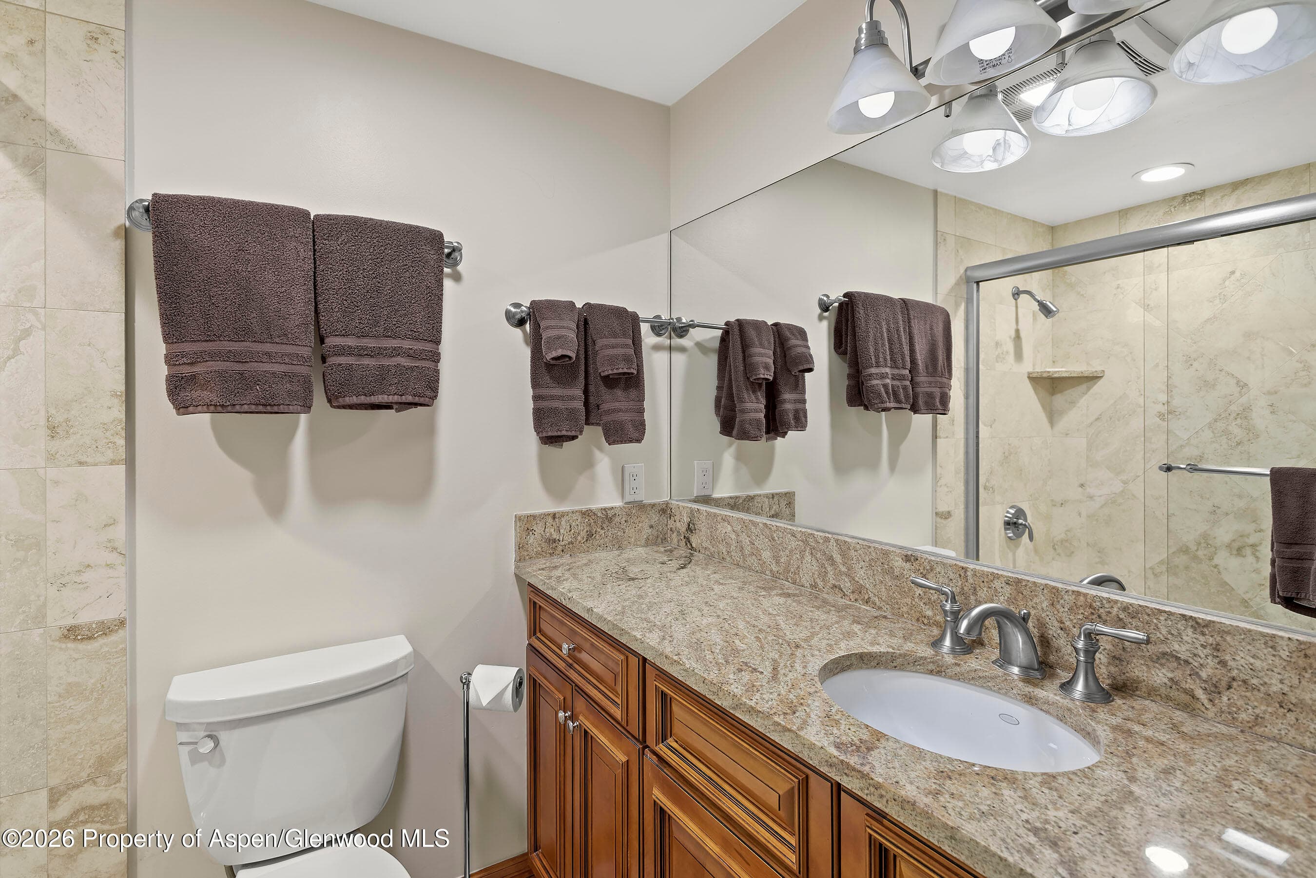 600 E Main Street 310, Aspen, CO 81611 - Photo 1