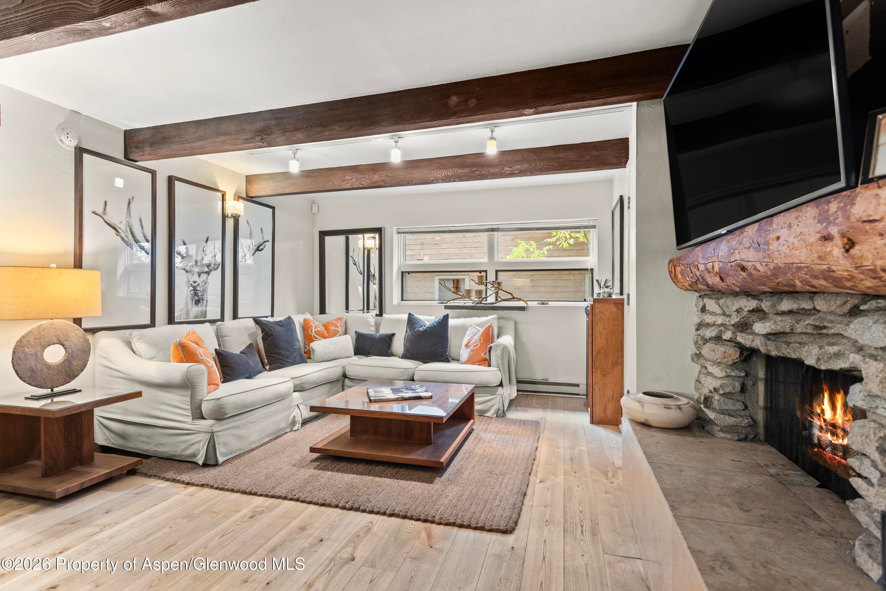 914 Waters Avenue 19, Aspen, CO 81611 - Photo 1