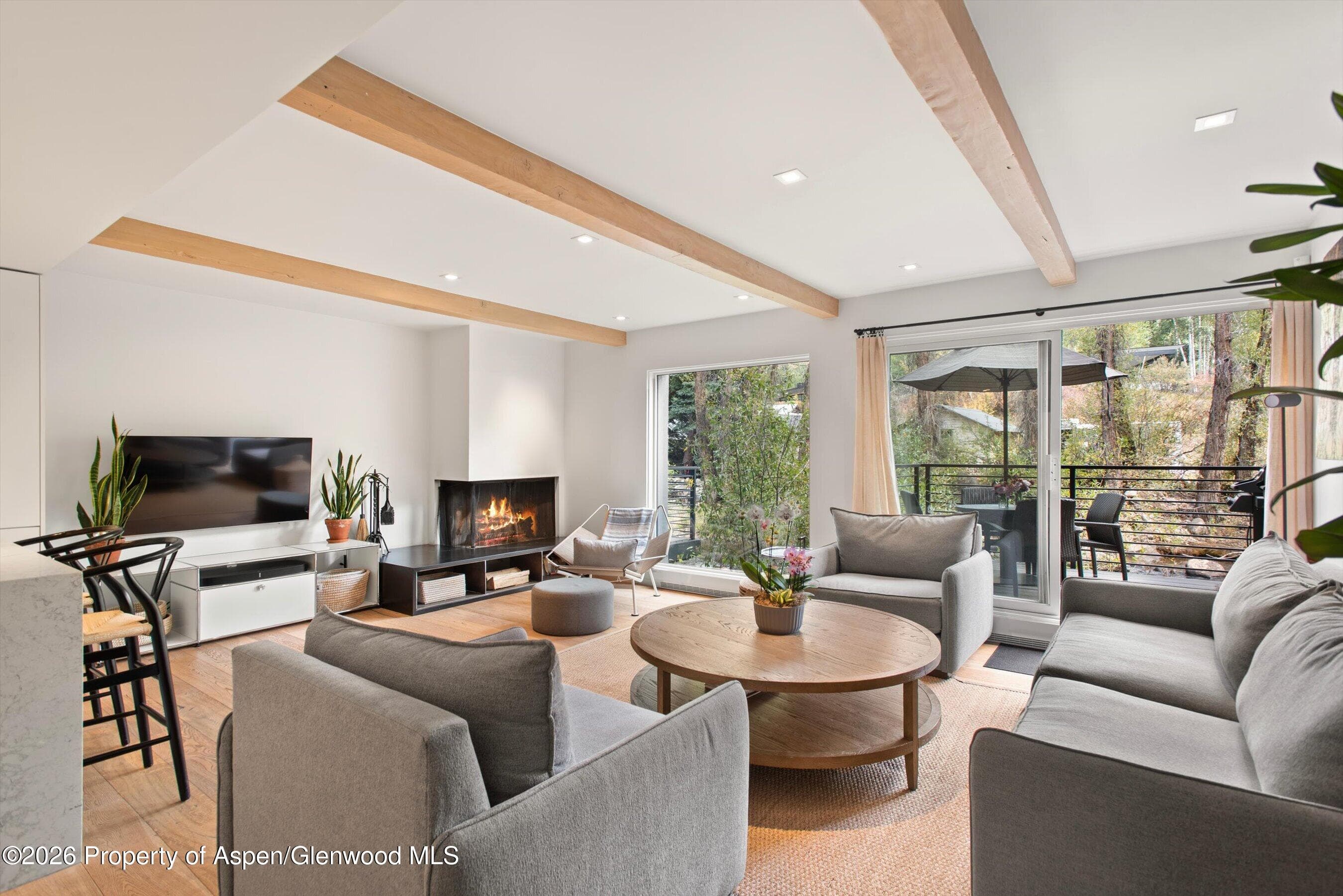 1039 E Cooper Avenue 19a, Aspen, CO 81611 - Photo 1
