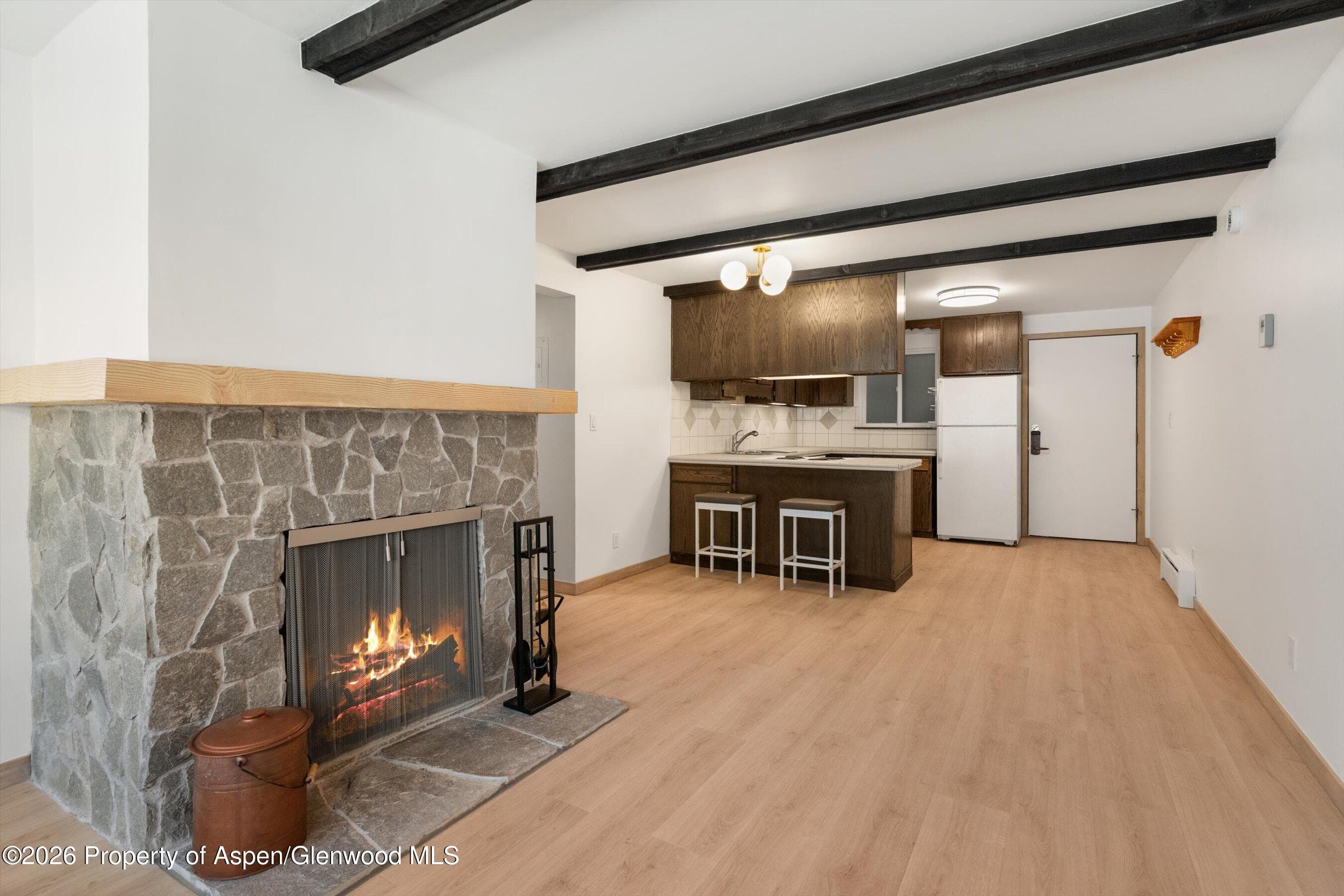 940 Waters Avenue #303, Aspen, CO 81611 - Photo 1