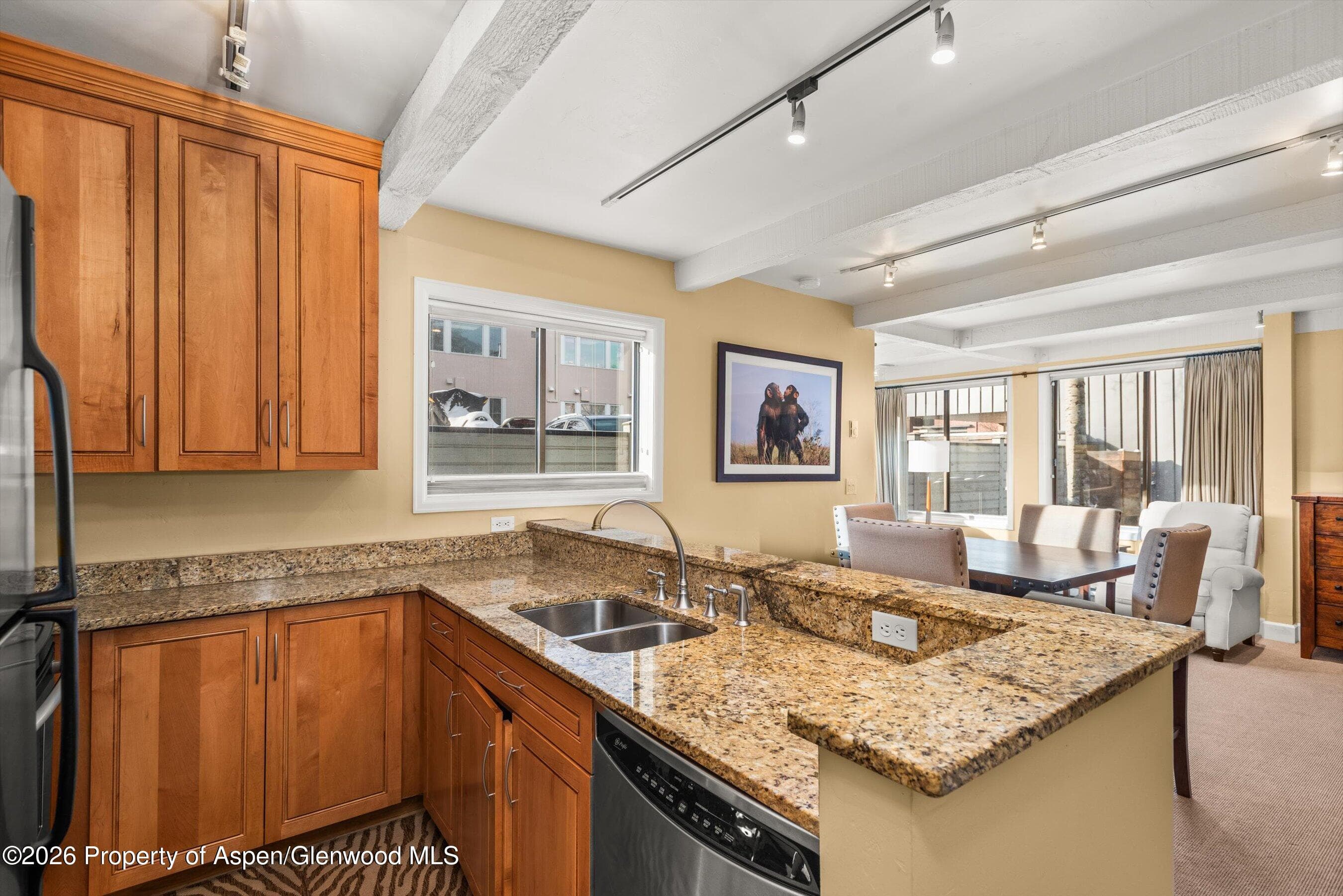 709 E Main Street 201, Aspen, CO 81611 - Photo 1
