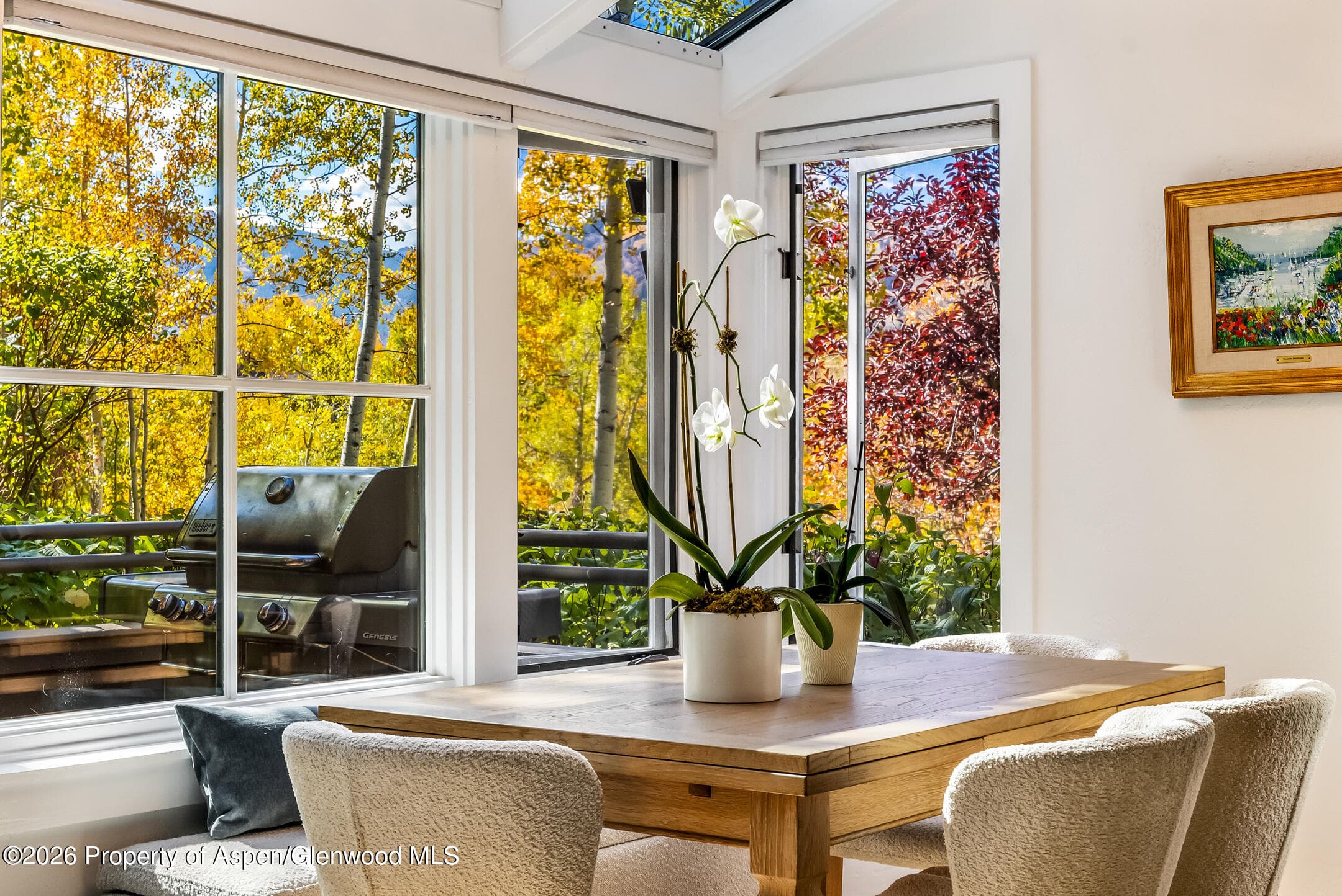 100 N 8th Street 19, Aspen, CO 81611 - Photo 1