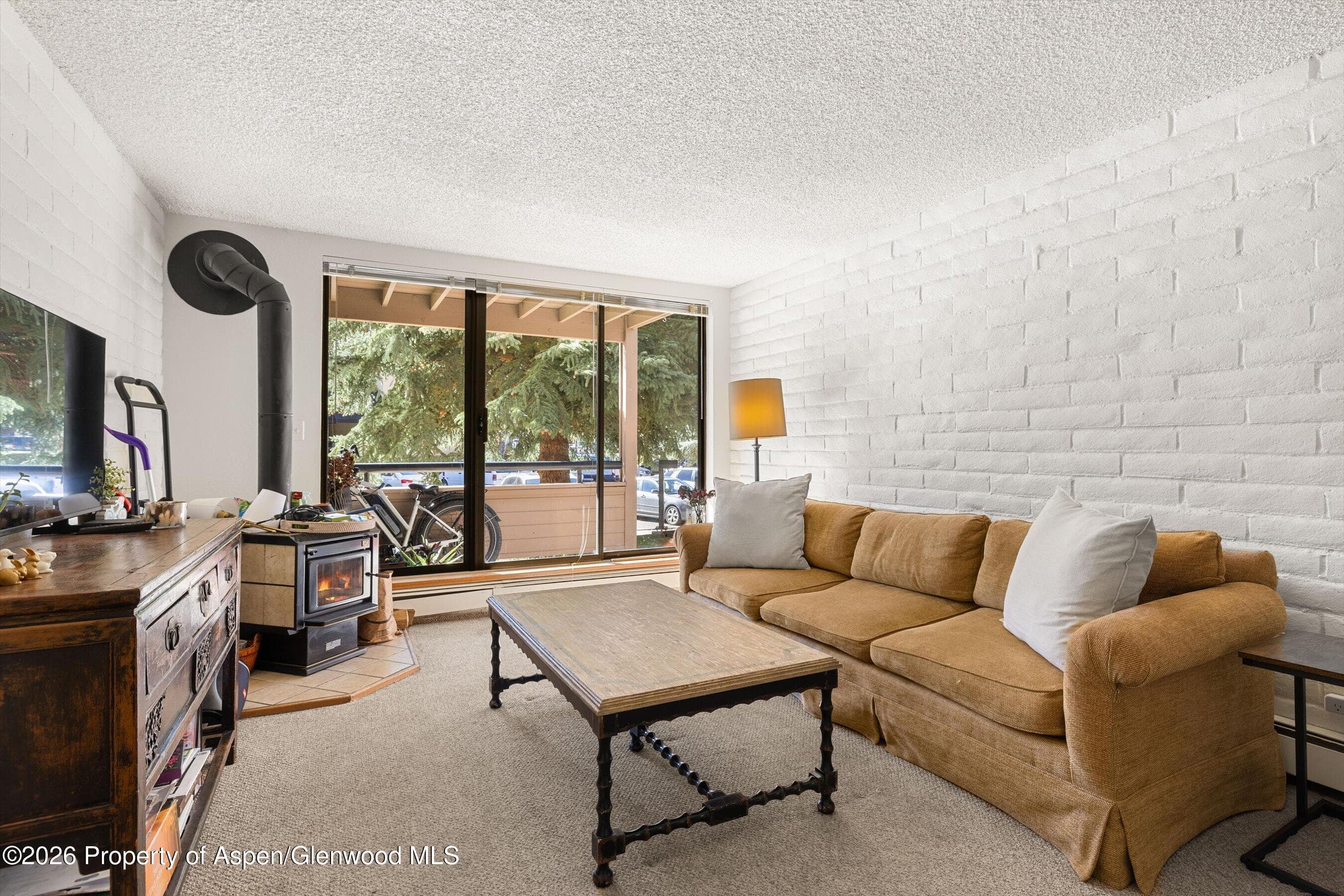 211 Vine Street 201, Aspen, CO 81611 - Photo 1