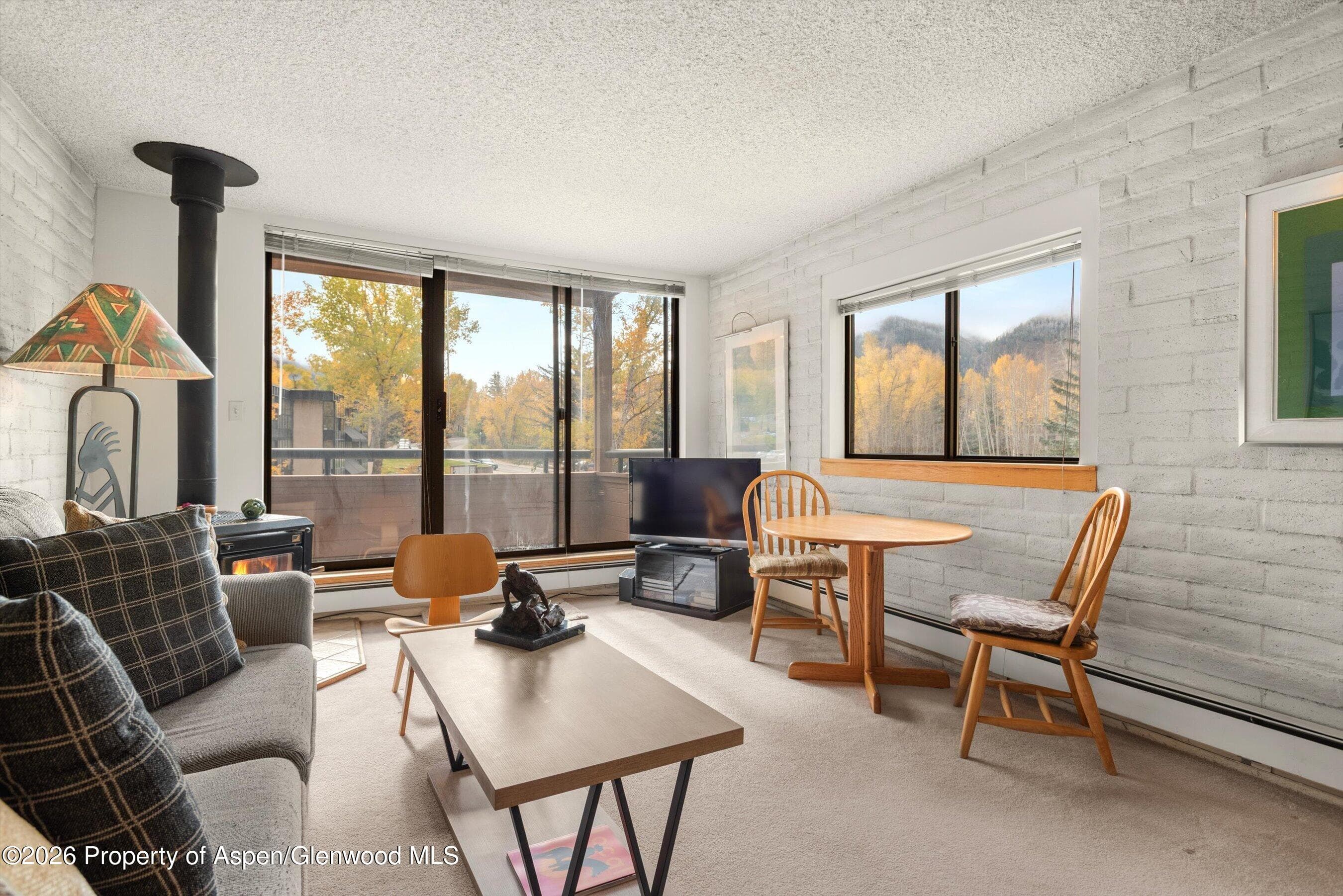 131 Vine Street, Aspen, CO 81611 - Photo 1